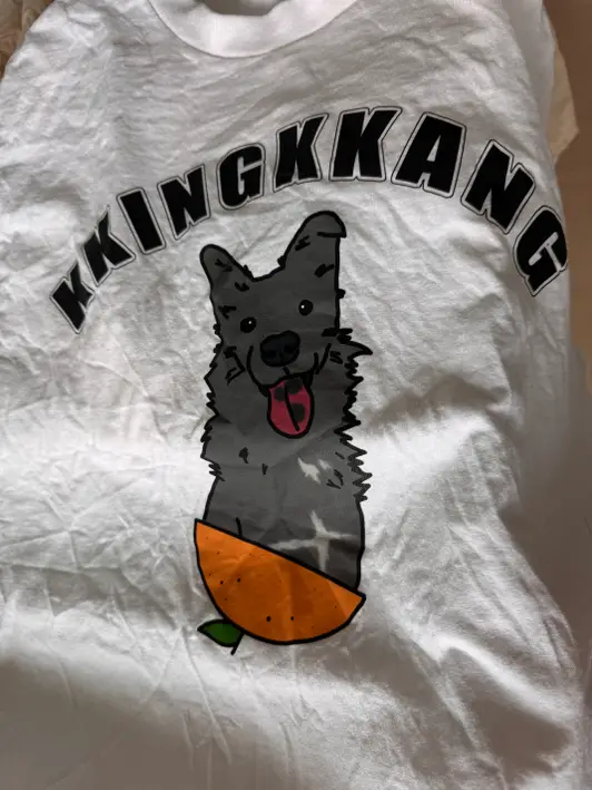 Alstyle 1301 Adult Tagless T-shirt Purchased M / L 제작 후기 This is my first time making a custom t-shirt, and I really like it~ The material is good, and I would buy it again! Haha - 마플 리얼 후기 