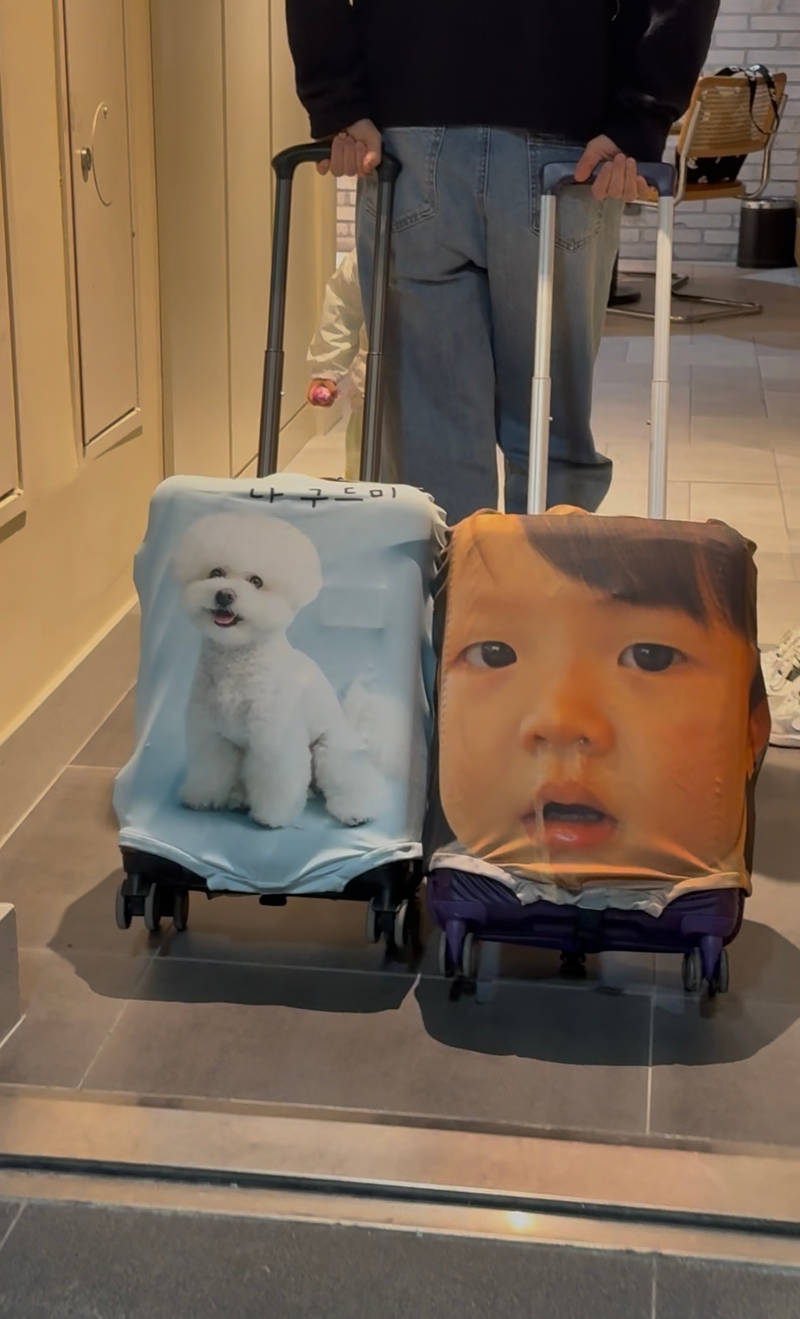 Personalized Spandex Travel Luggage Cover  Purchased S 제작 후기 Our baby's Shikang carrier cover! I don't think I'll ever lose the carrier. I think it's more attractive if you make the carrier cover with a big face, whether it's a person or a dog. I asked about the delivery schedule, and Maple kindly gave me guidance, so I was able to wait without worry. Next time, I want to make another carrier cover with a different design.- 마플 리얼 후기