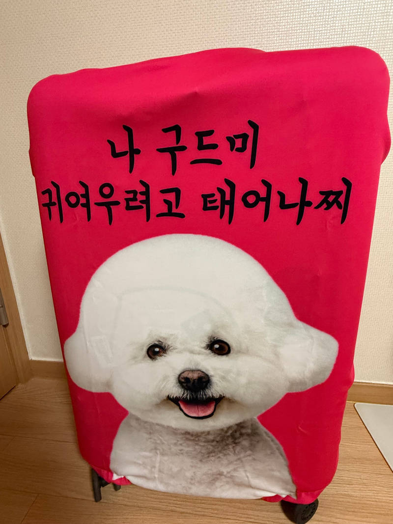 Personalized Spandex Travel Luggage Cover  Purchased L 제작 후기 I don't check in my carry-on luggage and always carry it with me so it doesn't get dirty, so I made the carrier cover in a bright color, but I also made an L size because I thought the S size carrier cover was pretty. It feels a little big for a 26-inch carrier, but it fits. I think it would fit a 28-inch carrier perfectly. I think you should make it after carefully checking the size of your carrier. However, the color is dark, so there's less risk of it getting dirty, and I feel like I'll be really popular when I go abroad. I made the face big because it feels like I'm always with my dog, and I really like it. I thought a lot about the comment, but I think it's so cute. The reason Maple made the carrier cover was because of the printing quality. It's printed in high resolution just like the picture, so the dog's expression is so vivid! I had faith in Maple's customer service center's thorough and quick response during the inquiry process. I want to make other goods as well. 

*This is a review written after actually using the product provided as part of the Maple Supporters activity.- 마플 리얼 후기