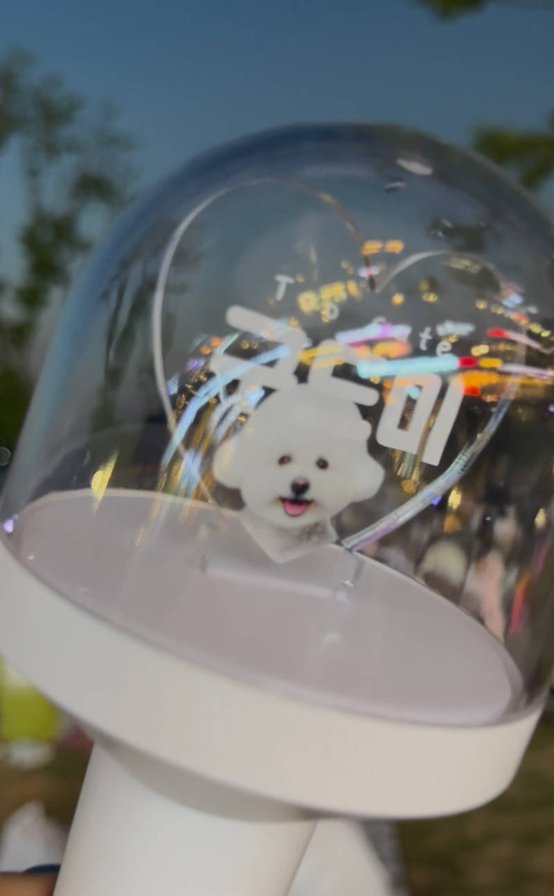 Heart LED Light Stick (Dome Type) Purchased 3.5 x 9.6 inch 제작 후기 I made a cheering stick with my dog's face! It can be used in many ways, such as when watching a late-night performance, going for a walk, or going to an amusement park. The fact that it can be easily operated with a one-touch button in over 10 colors is a huge advantage. I was worried because I didn't have AAA batteries at home, but fortunately they were included in the box. I was worried that the white puppy would be engraved with white letters, but it's not. I should have made the white puppy's face black letters... Still, the cheering stick color is vivid, so I'm very satisfied. I think it would be the best cheering stick if you put your favorite sports player or celebrity's face on it. Above all, I'm completely satisfied with the photo printing quality that captures my child's cuteness. I was also impressed by the kindness of the Maple customer center when I asked during the ordering process. I'm very likely to order again! 
*This is a review written after actually using the product after receiving it as part of the Maple Supporters activity.- 마플 리얼 후기