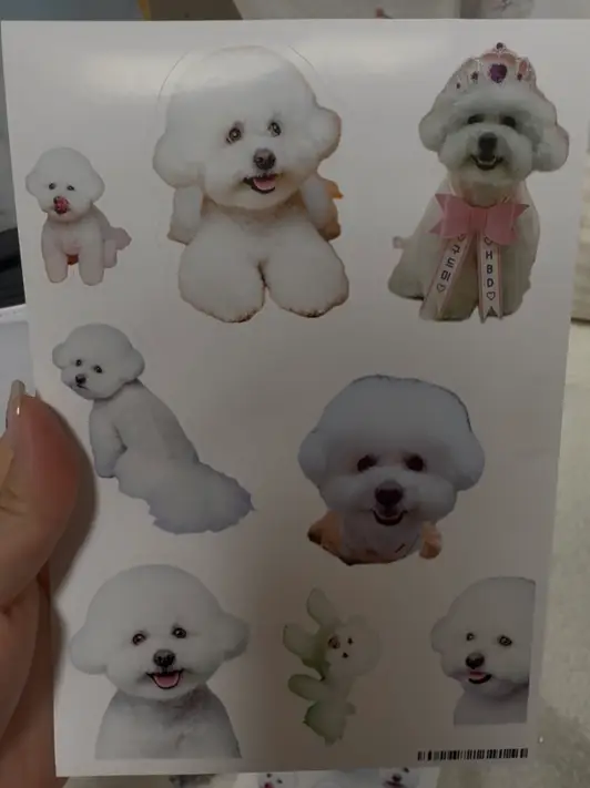 Custom Design Stickers Purchased Art paper 제작 후기 I wanted to see our dog's picture every day, so I made it into a sticker. If I were a little better at design and could cut out the cutouts, it would have been printed more cleanly, but the details were printed so well that next time I'll just put the whole picture in without cutting out the cutouts. Maple's printing quality is amazing! In particular, the dog's picture was printed so clearly that it looked prettier than the original. The customer service center was also kind enough to explain everything one by one, so I was able to order comfortably. It's a brand I want to use again! 
*This is a review written after actually using the product that was provided as part of the Maple Supporters activity. 
 - 마플 리얼 후기 