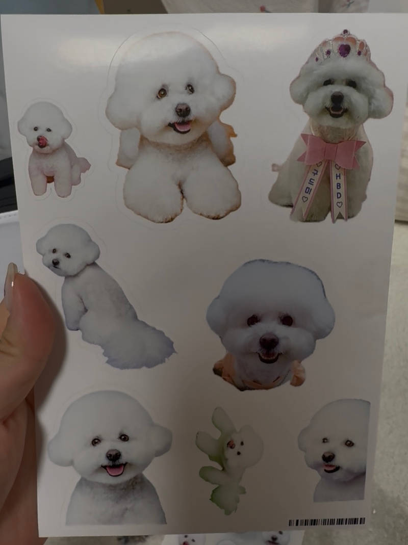 Custom Design Stickers Purchased Art paper 제작 후기 I wanted to see our dog's picture every day, so I made it into a sticker. If I were a little better at design and could cut out the cutouts, it would have been printed more cleanly, but the details were printed so well that next time I'll just put the whole picture in without cutting out the cutouts. Maple's printing quality is amazing! In particular, the dog's picture was printed so clearly that it looked prettier than the original. The customer service center was also kind enough to explain everything one by one, so I was able to order comfortably. It's a brand I want to use again! 
*This is a review written after actually using the product that was provided as part of the Maple Supporters activity. 
- 마플 리얼 후기
