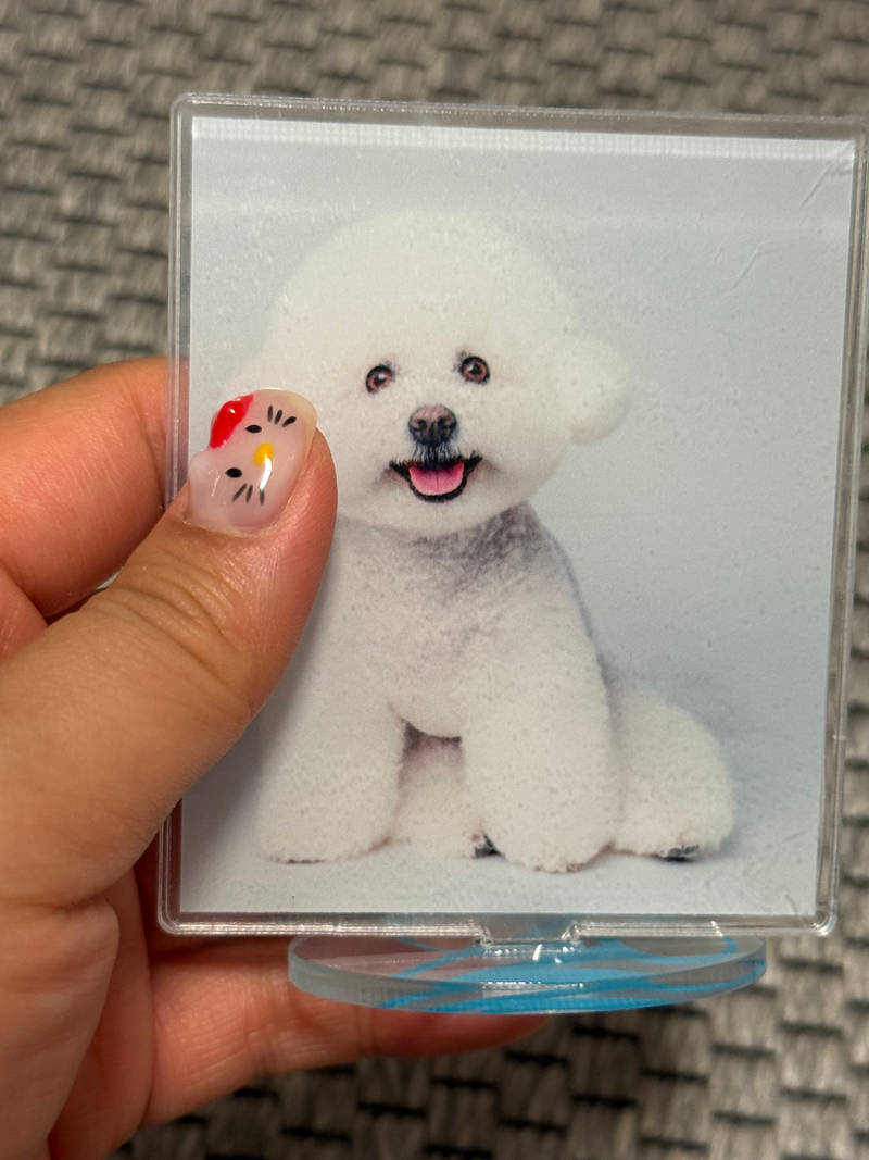 Acrylic Figure S (~W 2.8inch) Purchased 27.56 x 33.86 inch 제작 후기 Our dog acrylic stand looks pretty no matter where you put it. I'm thinking about whether to put it in the office or the car. I think it would have been pretty even if I cut it into the shape of a tree. I was very satisfied with Maple's custom product, which captured our dog's cute appearance in high quality. I was also reassured by the Maple customer service center's kindness when I inquired during the ordering process. I definitely want to use it again next time. 
*This is a review written after actually using the product that was provided as part of Maple Supporters' activities. 
- 마플 리얼 후기