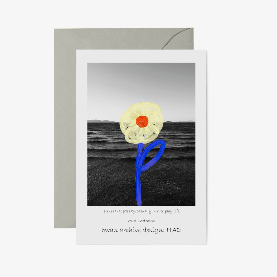 sea flower postcard, 마플샵 굿즈