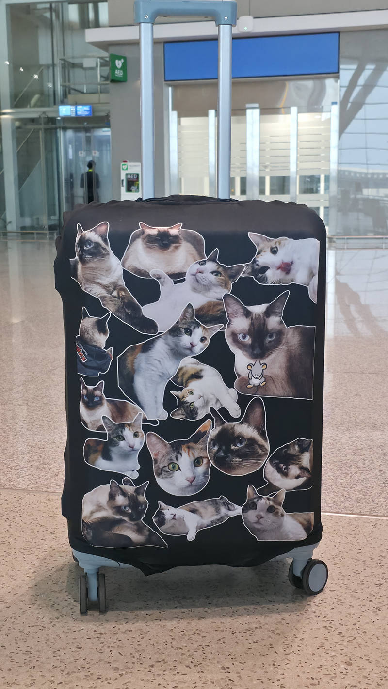 Personalized Spandex Travel Luggage Cover  Purchased M 제작 후기 I made it to use when I travel. I cut and sewed each piece individually ^.^ It wasn't hard at all even though I did it myself ㅋㅋㅋㅋ I love cats 😻😻🧡🧡🧡- 마플 리얼 후기