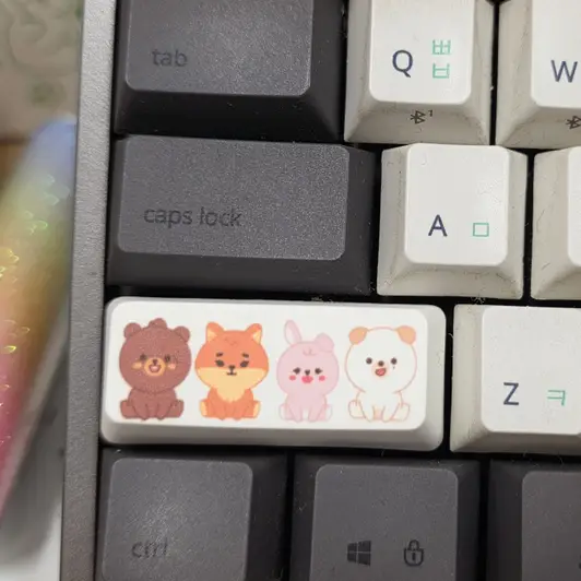 커스텀 풀 컬러 키캡 (Left Shift) 4.2 x 1.7 x 1 cm 구매 제작 후기 징짜기여워요 - 마플 리얼 후기 