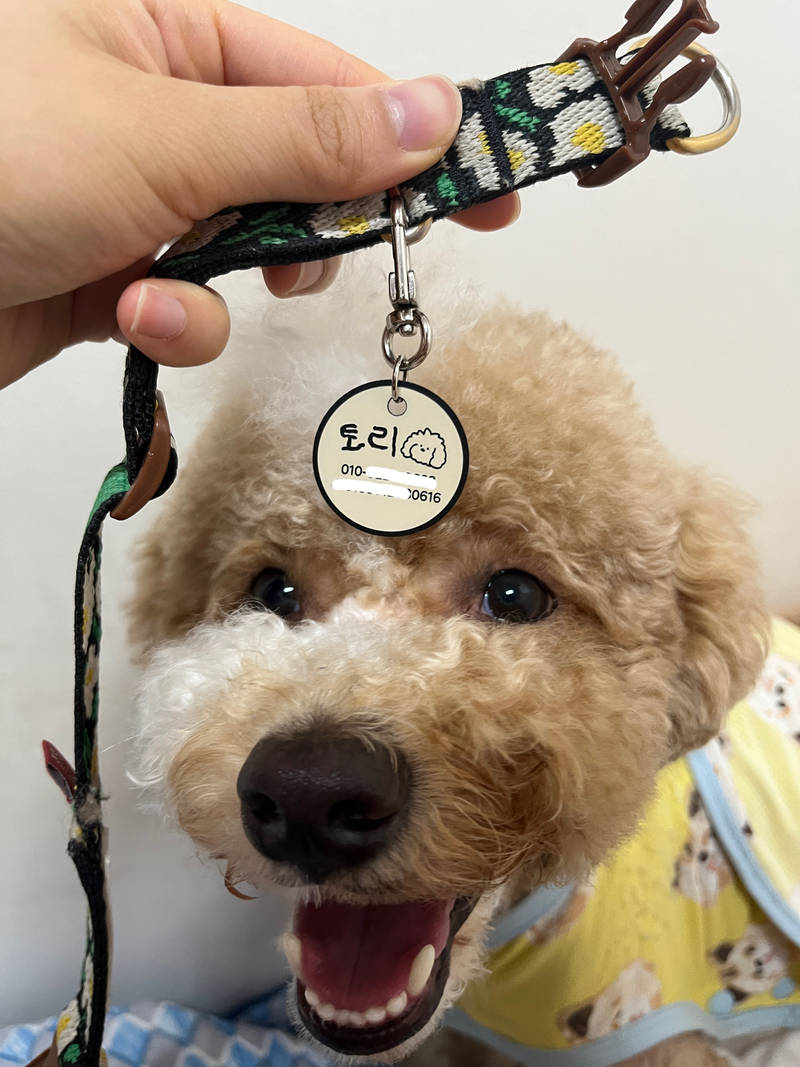 Dog Name Tag Keyring (Circle) Purchased 1.3 x 1.3 inch 제작 후기 First of all, the delivery came much faster than I thought! I thought it would be late because it was custom, but it was so fast, I was surprisedㅋㅋ 
I was worried that it would be hard to see because there were so many letters on the front, but it was clear and I could see it well..?! Good good👍 
First of all, it's very light! It's not a material that makes a lot of noise like stainless steel, so it's great~~ 
Our dog doesn't even know it's on his neck and just walks aroundㅋㅋㅋㅋ 
Since it's a key ring, I just hang it on a leash, but I'm thinking about getting one more as my goods because I can attach it to various places. Ah... 
There are a lot of leashes, but I think I should've just made several so that I can attach them without having to move themㅜ 
Anyway, I hope you prosper.. + Please give us a lot of new products so that our dog can be a fan of it ^00^ 

*This is a review written by an employee after actual use.- 마플 리얼 후기