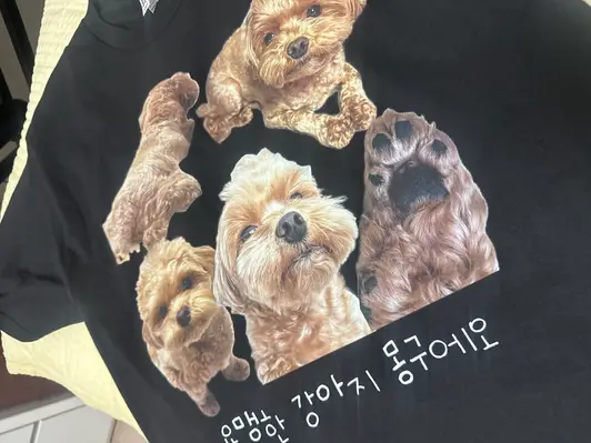 Alstyle 1301 Adult Tagless T-shirt Purchased L 제작 후기 It's the best - 마플 리얼 후기 