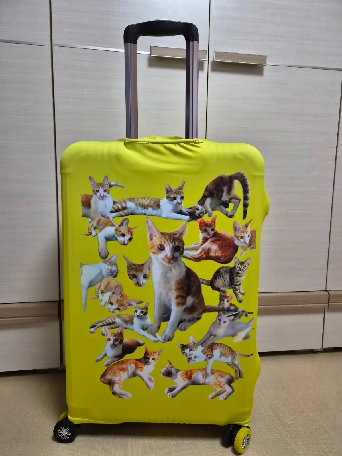 The 28-inch suitcase cover is absolutely beautiful.. Photos of my Rang-i are coming out better than expected, and the cover material is sturdy, so I think I'll be able to use it for a long time..